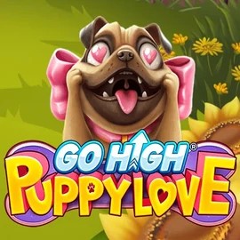 Slots logo of Go High Puppy Love from RubyPlay at Felicebet Casino