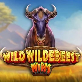 Play Wild Wildebeest Wins slot by Pragmatic Play on felice-bet.eu.com